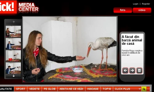 Barză jpeg