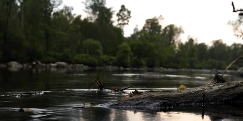 quebec tren deraiat FOTO REUTERS