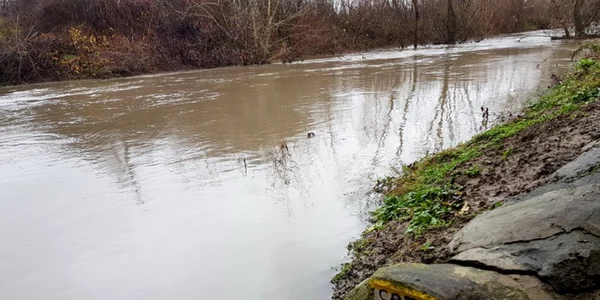 Inundatii