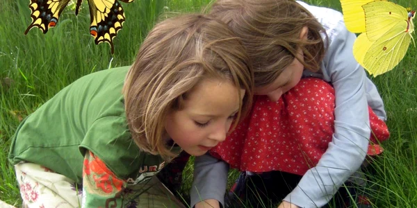 entomologie