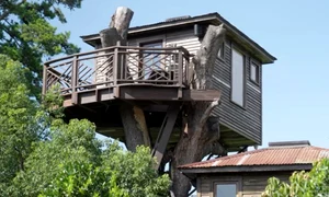 Casa din copac a miliardarului Tod Graves, foto captura video YouTube jpg