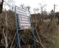Cheile Cibului Foto Daniel Guță ADEVĂRUL (86) JPG