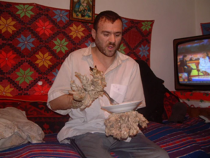 ion toader 2007