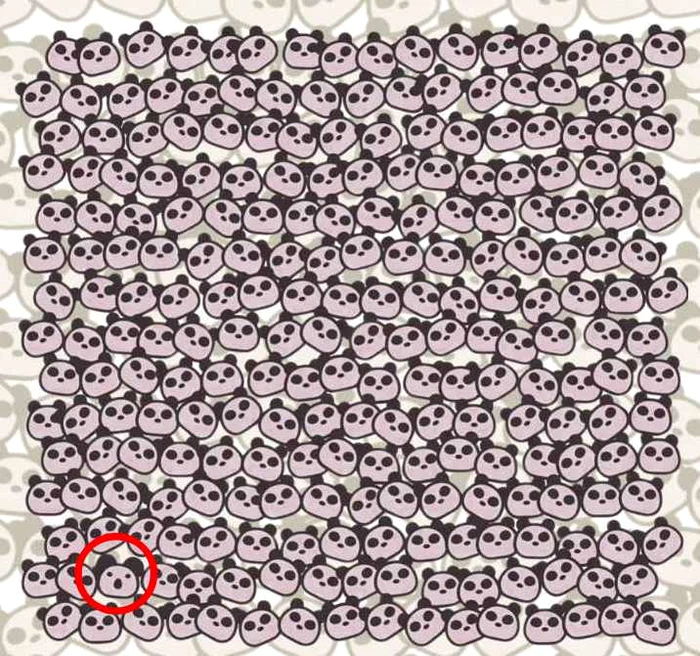 Rezolvarea provocării