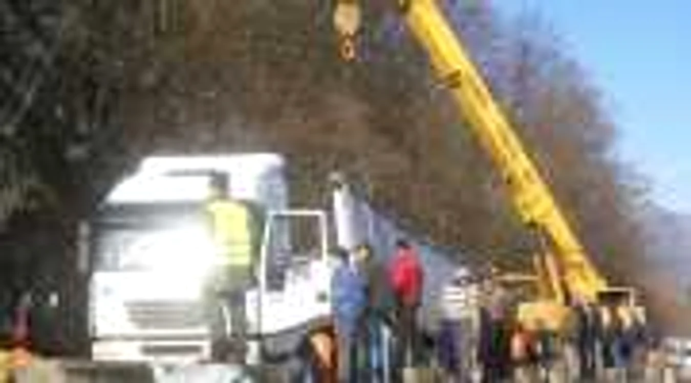 Un tir incarcat cu hrana pentru porci s-a rasturnat la Milcoiu