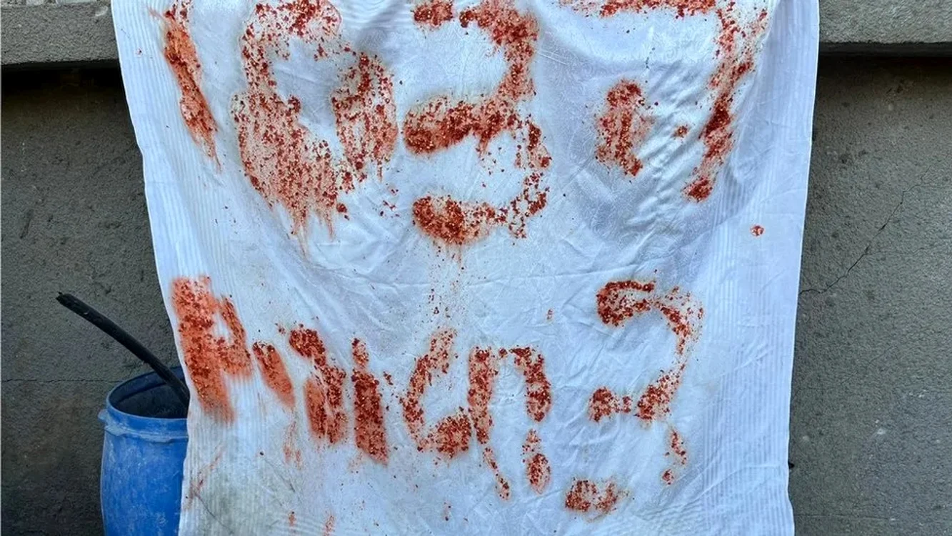 Cârpa pe care au scris SOS FOTO IDF