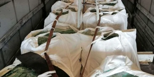 calarasi doua transporturi cu deseuri descoperite  de politistii calaraseni foto IGPF