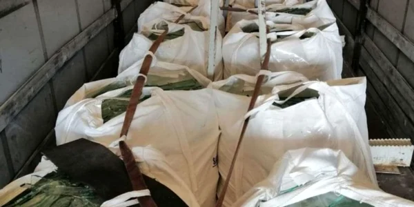 calarasi doua transporturi cu deseuri descoperite  de politistii calaraseni foto IGPF