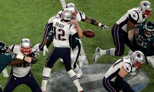 brady jpeg