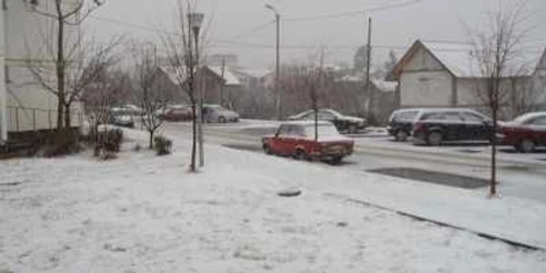 A căzut prima ninsoare la Botoşani