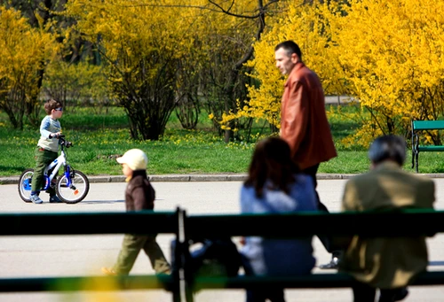 În următoarele două zile temperaturile vor fi în continuă creșterefoto: Click!