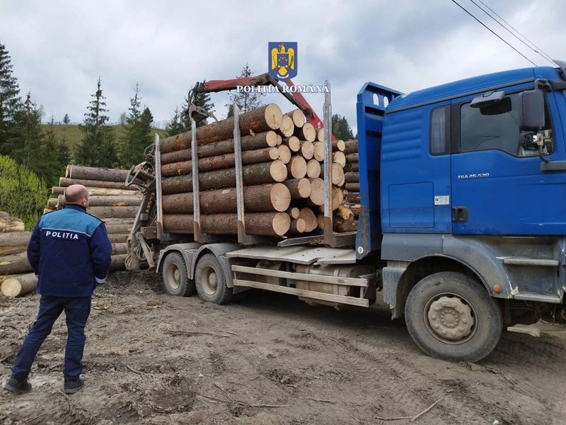 Ansamblu de vehicule confiscat de polițiști cu tot cu încărcătura de lemn fără documente FOTO 