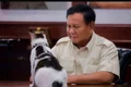 presedinte indonezia motan bobby jpg