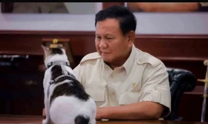 presedinte indonezia motan bobby jpg