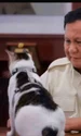 presedinte indonezia motan bobby jpg