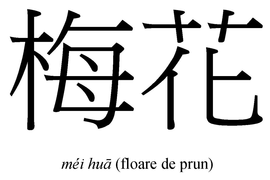 Carne „flori de prun“    jpeg