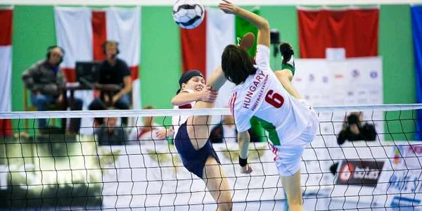 futnet foto