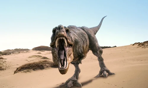 dinozaur jpeg