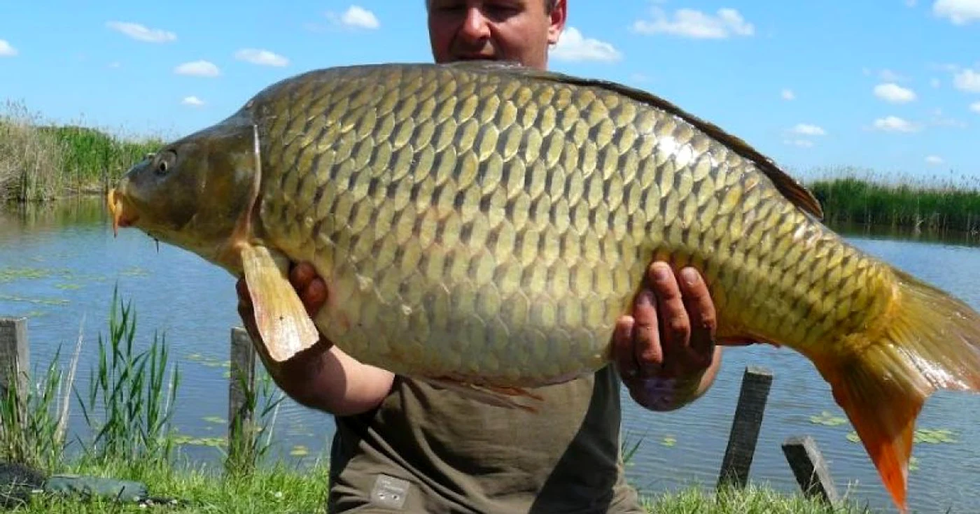 Cele mai bune lacuri de pescuit din Ungaria. Captură impresionantă pe lacul Ohat