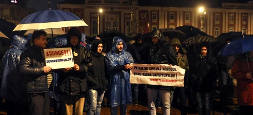 Protest Timisoara - 26.11.2017