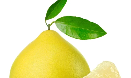 pomelo jpeg