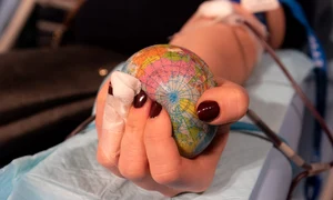 earth 4861456 1280 jpg