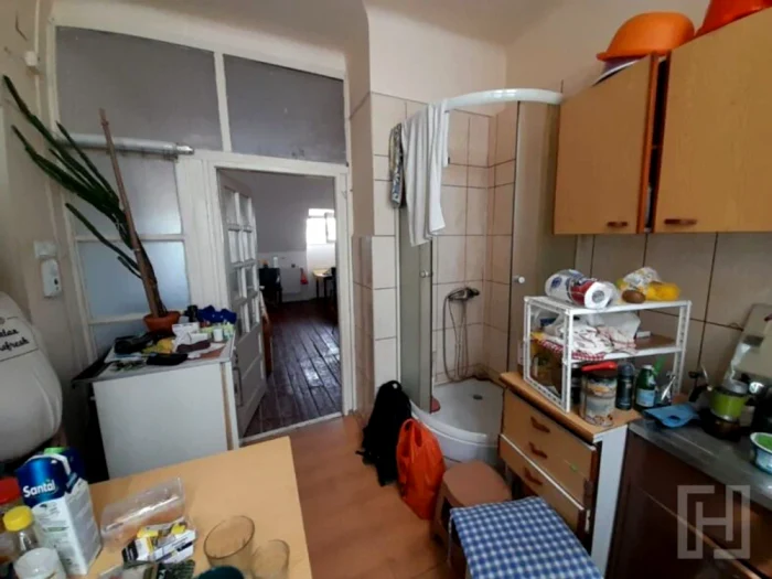 Garsoniera cu duș în bucătărie / FOTO: Habitas
