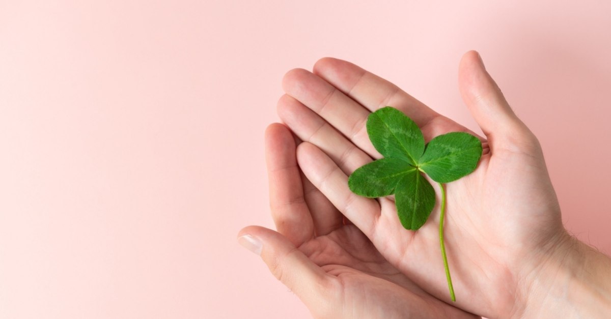 Obiectele care îți aduc noroc în luna noiembrie. Nu trebuie să-ți lipsească dacă vrei să atragi banii, iubirea și sănătatea în viața ta