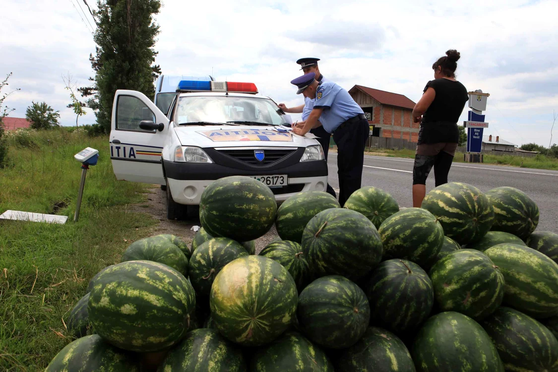 
    Tarabele pepenarilor s-au golit rând pe rândfoto: Roberto Sălceanu  
