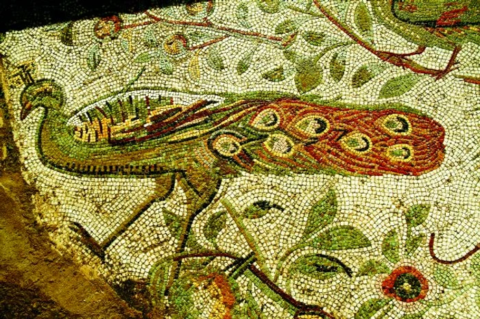 shutterstock 45044428 jpg jpeg