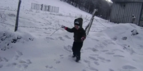 Satu Mare: Precipitaţii abundente şi zăpadă la Huta Certeze