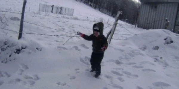 Satu Mare: Precipitaţii abundente şi zăpadă la Huta Certeze