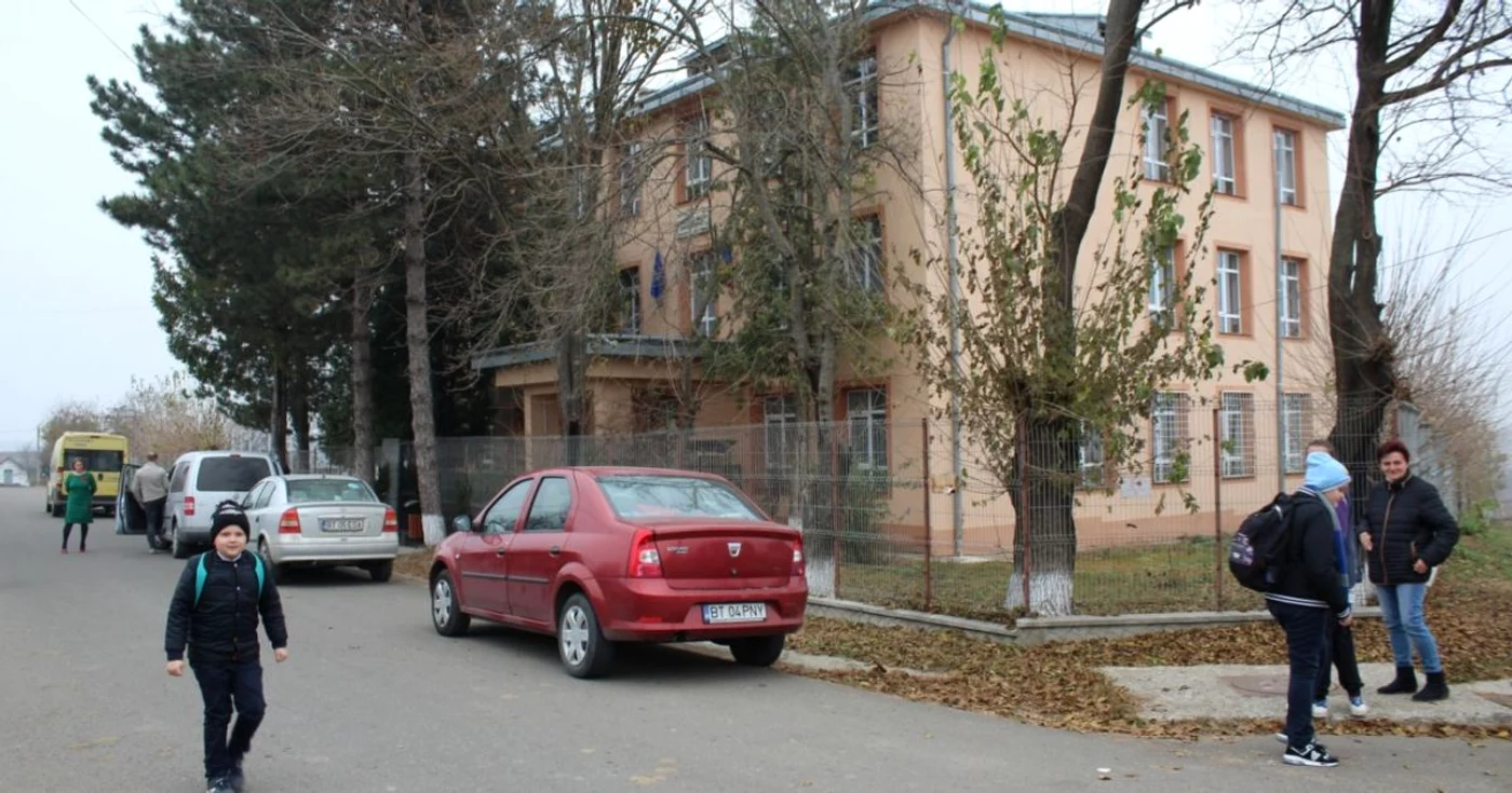 broscauti 3