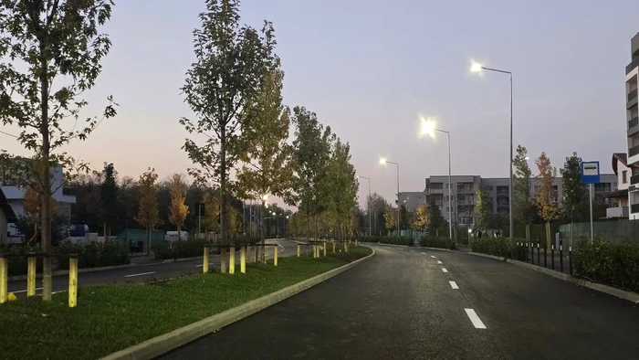 Drumul Valea Largă. Foto: Facebook/ Ciprian Ciucu