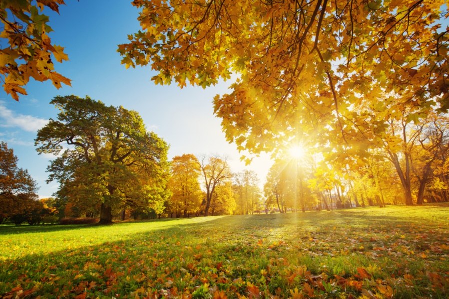 Cum va fi vremea în luna septembrie. Meteorologii au actualizat estimările