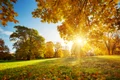 septembrie, foto shutterstock jpg
