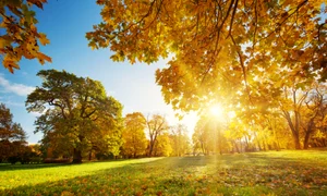 septembrie, foto shutterstock jpg