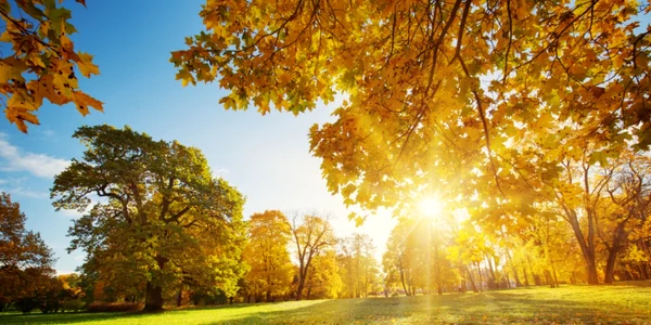 septembrie, foto shutterstock jpg