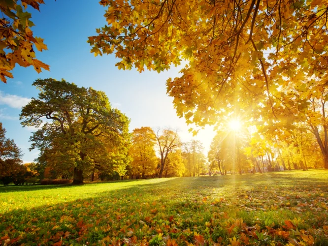 septembrie, foto shutterstock jpg