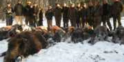 „Puşcaşii“ suceveni s-au pozat cu trofeele la finalul unei partide de vânatoare la mistreţi