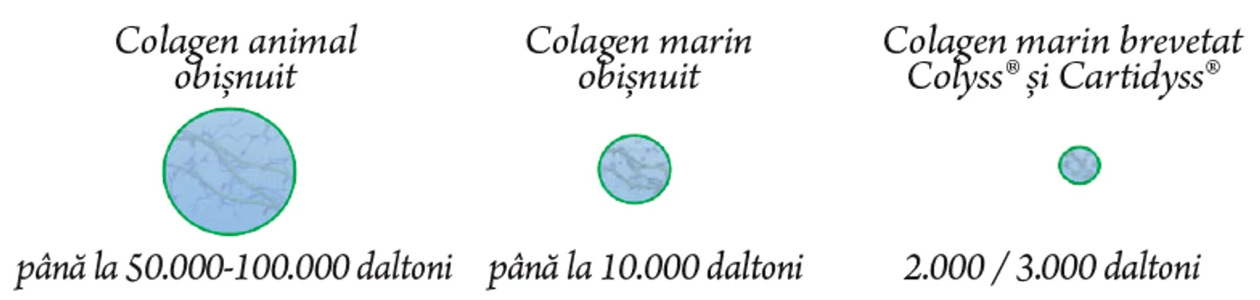 particule jpg jpeg