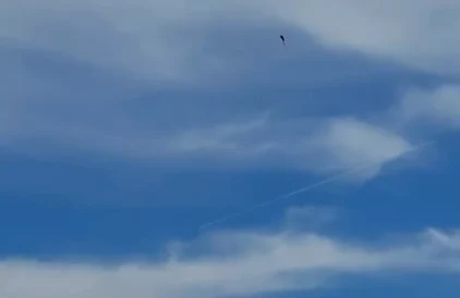 Parașuta principala a elevului nu s-a deschis. FOTO Captură video Digi24