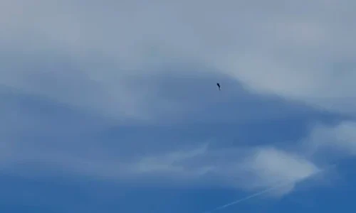videoframe 3230 png