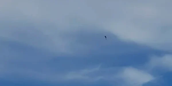 videoframe 3230 png