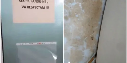 captura viermi