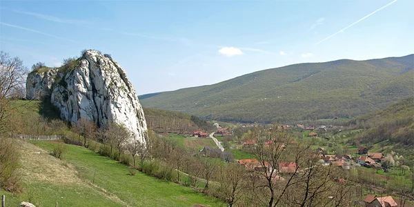 ampoita alba