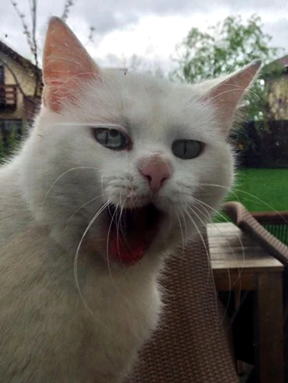 Bianca (FOTO FACEBOOK)