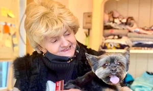 camelia mitoseru JPG