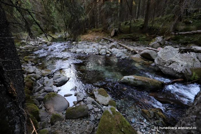 La izvoarele Lăpușnicului. Foto: Daniel Guță