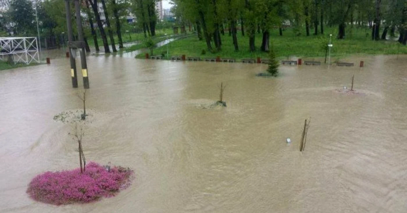 parcul lunca argesului inundat